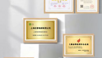 连获5大重量级荣誉认证，上海巨菱电梯赋予家用电梯新的高度